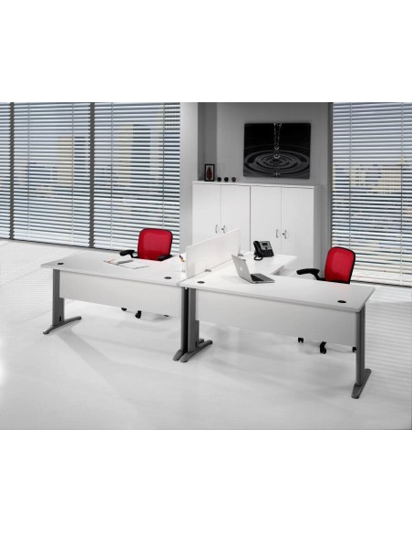 Mesa Euro 3000