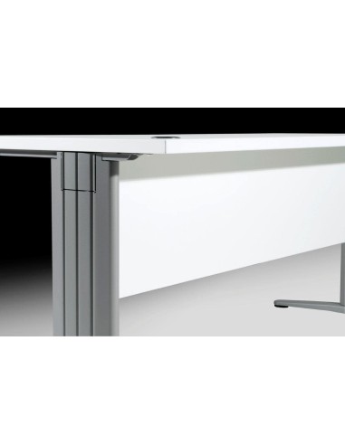 Mesa Euro 3000