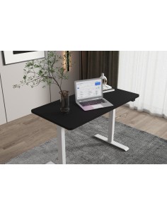 Mesa elevable eléctrica 2