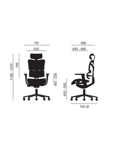 Silla New Ergostone