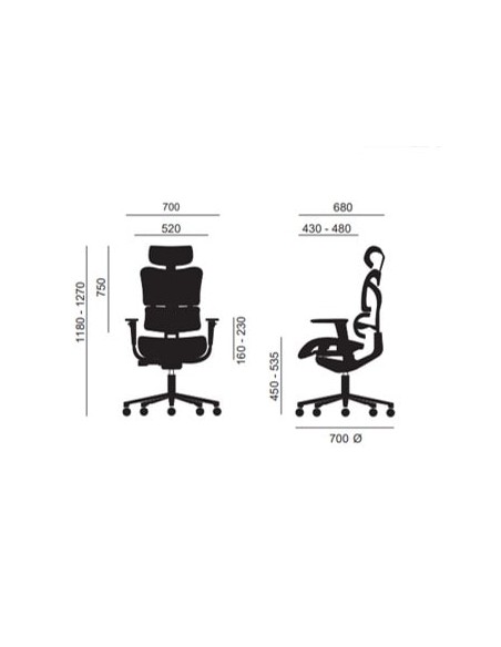 Silla New Ergostone