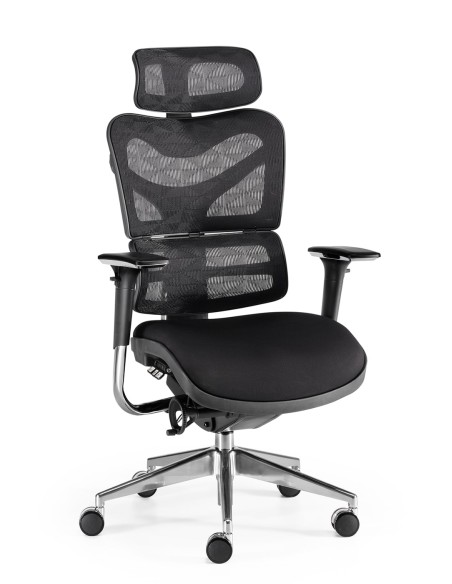 Silla New Ergostone