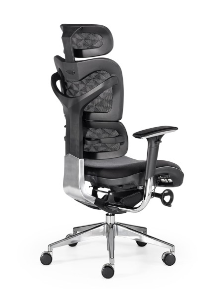 Silla New Ergostone