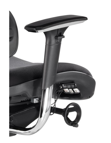 Silla New Ergostone