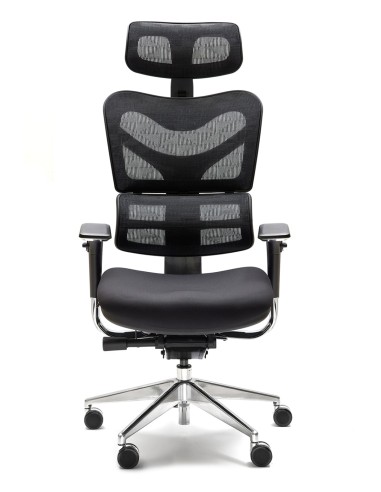 Silla New Ergostone