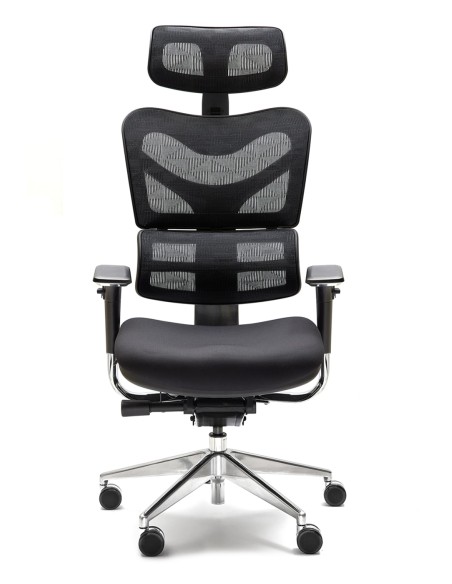 Silla New Ergostone