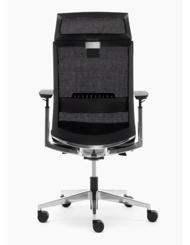 Silla Toronto