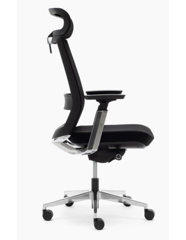 Silla Toronto