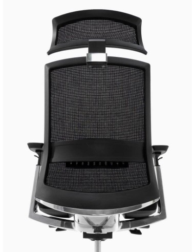 Silla Toronto