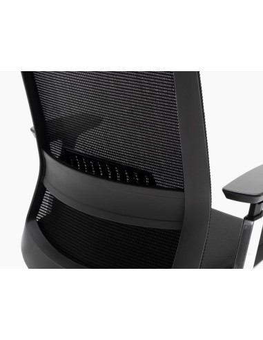 Silla Toronto