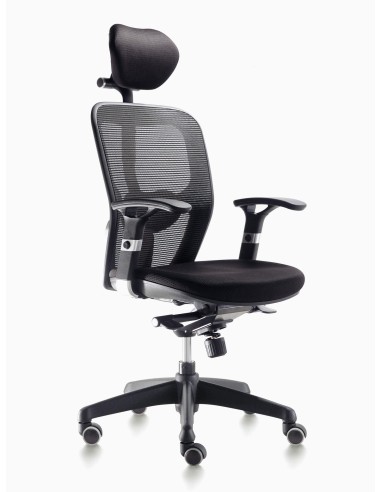 Silla Boston