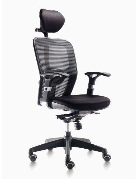 Silla Boston