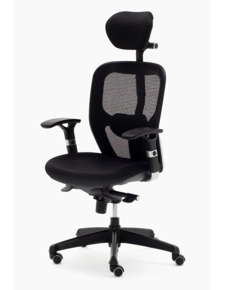 Silla Boston