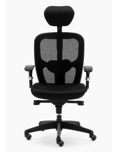 Silla Boston