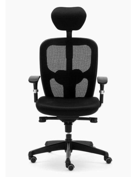 Silla Boston