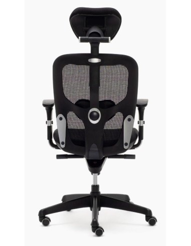 Silla Boston