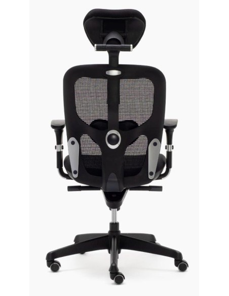 Silla Boston