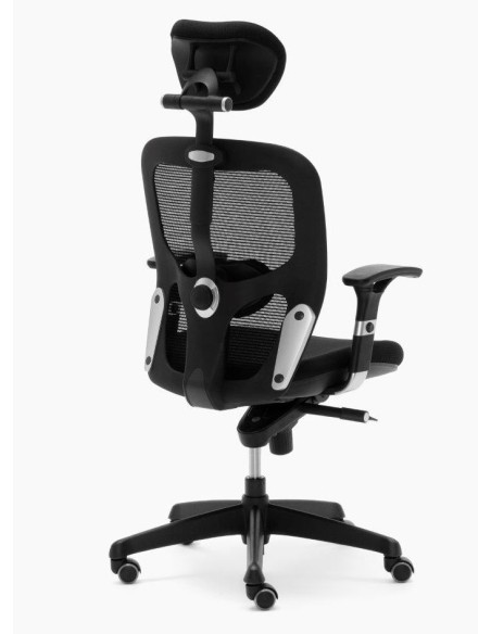 Silla Boston