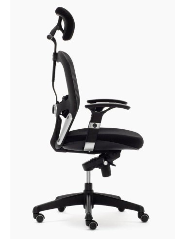 Silla Boston