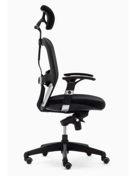 Silla Boston