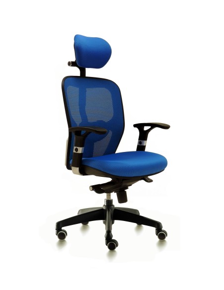 Silla Boston