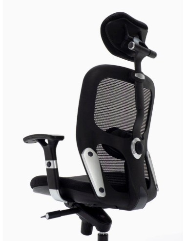 Silla Boston