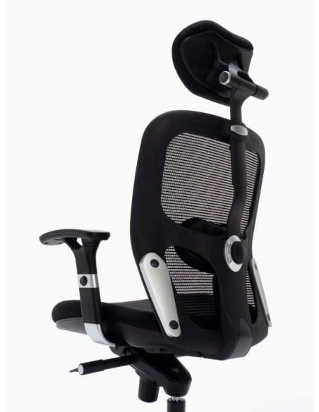 Silla Boston