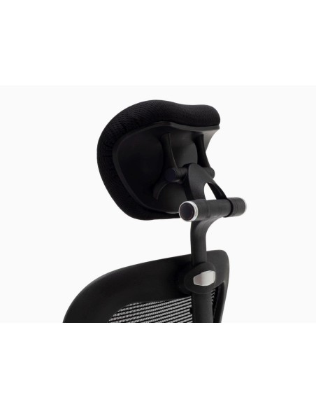 Silla Boston