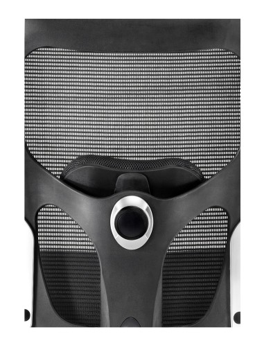 Silla Boston