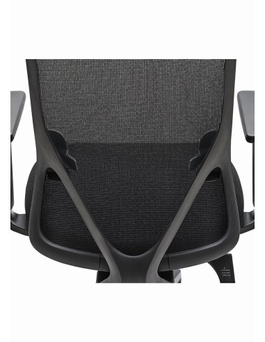Silla Lyon