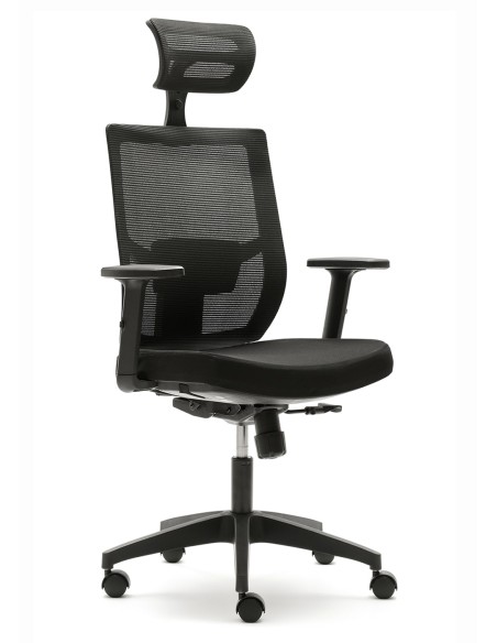 Silla Pisa