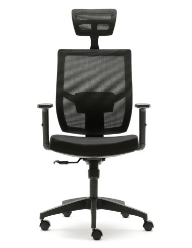 Silla Pisa