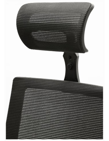 Silla Pisa