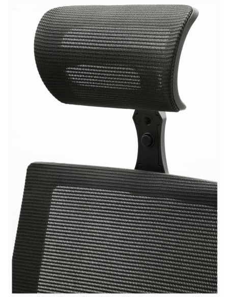 Silla Pisa