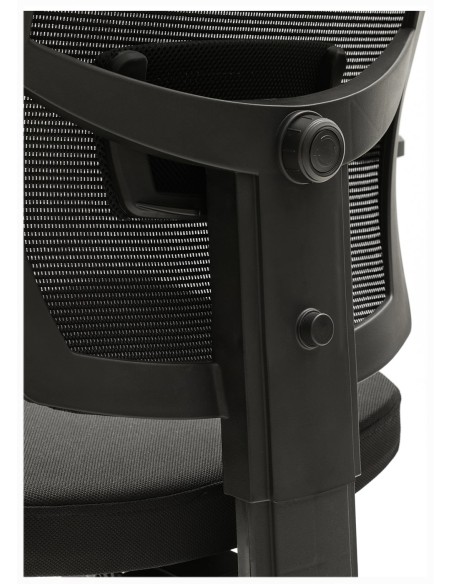 Silla Pisa