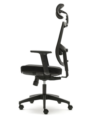 Silla Pisa