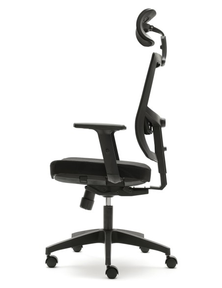 Silla Pisa