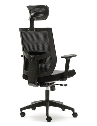 Silla Pisa
