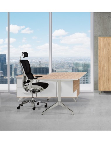 Mesa dirección Sharp con credenza