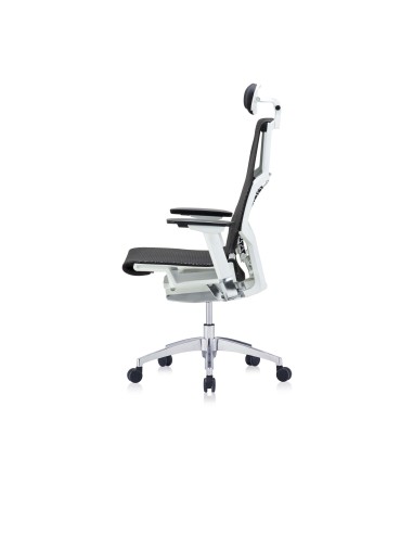 Silla Pofit