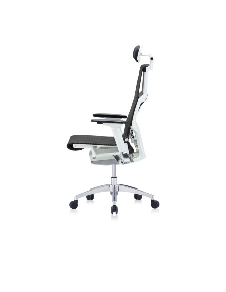 Silla Pofit