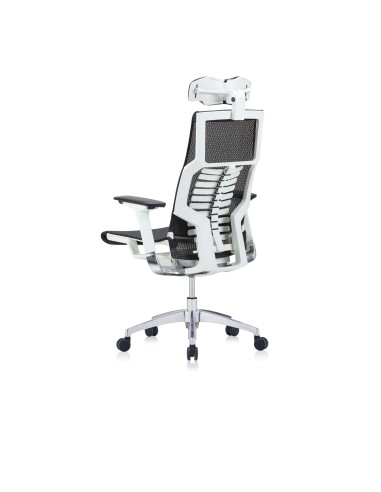 Silla Pofit