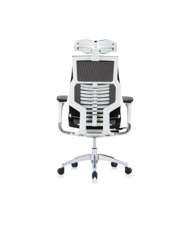 Silla Pofit