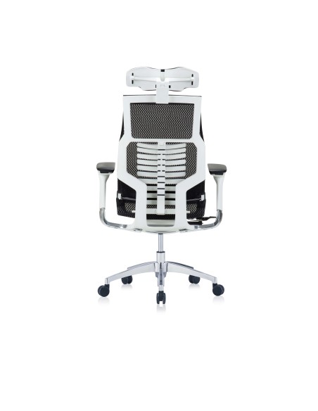 Silla Pofit