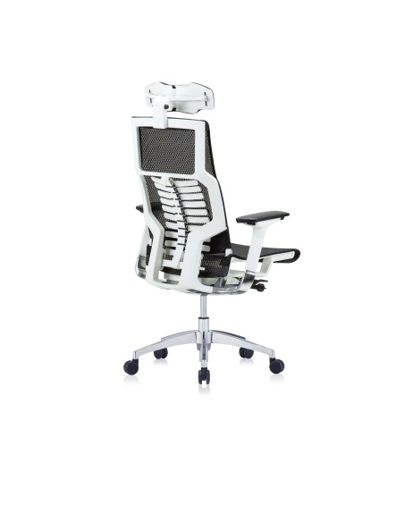 Silla Pofit