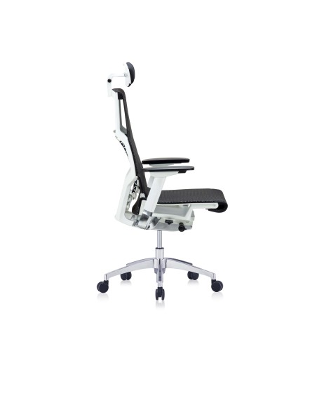 Silla Pofit