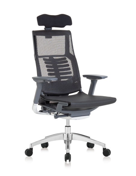 Silla Pofit