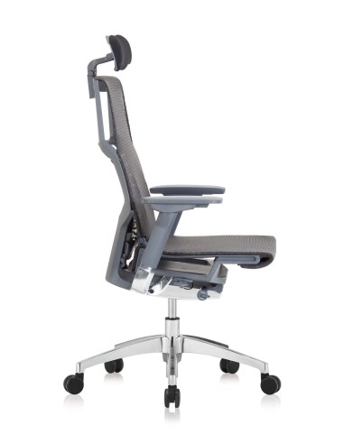 Silla Pofit