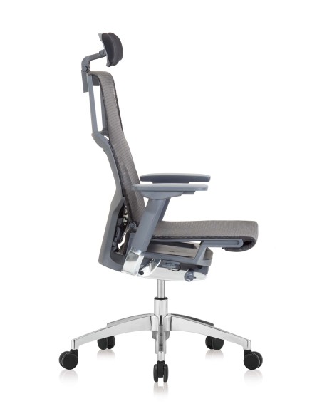Silla Pofit