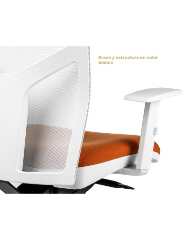 Silla Atika Pro